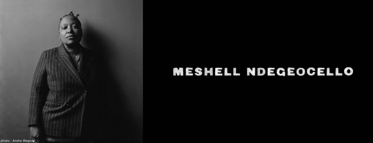 ミシェル・ンデゲオチェロ ｜ Meshell Ndegeocello - UNIVERSAL MUSIC 