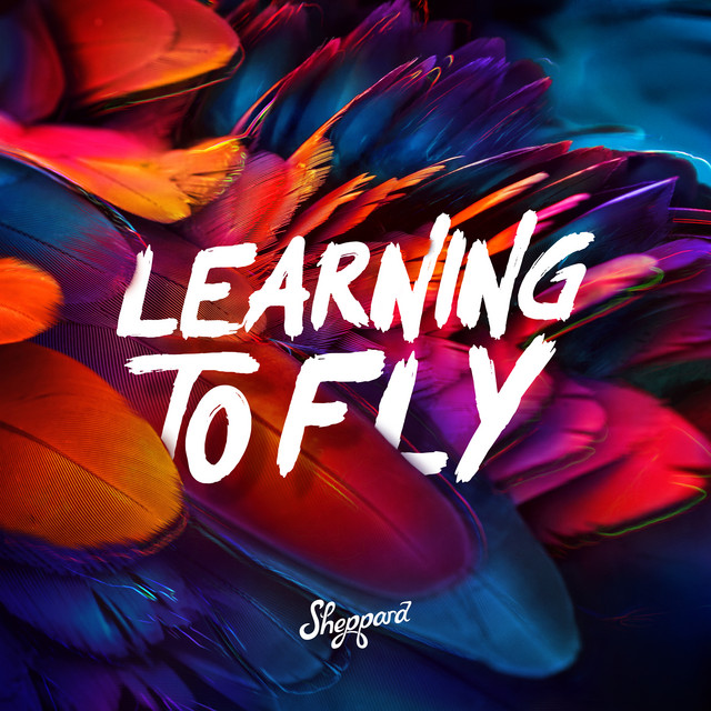 最新曲 Learning To Fly は 多幸感にあふれたポップソング 本日リリース シェパード